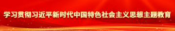 大黑屌视频学习贯彻习近平新时代中国特色社会主义思想主题教育